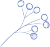 shape image