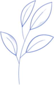 shape image