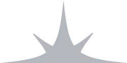 Shape