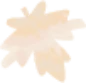 shape image