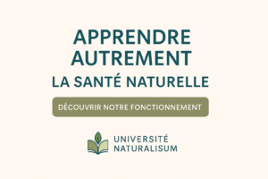 image fonctionnementjpg